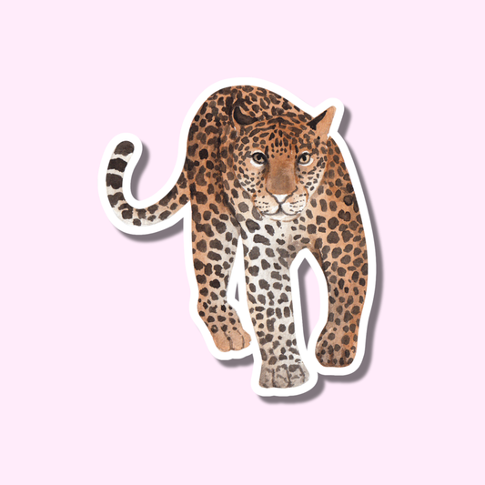 Cheetah bruin ★ sticker