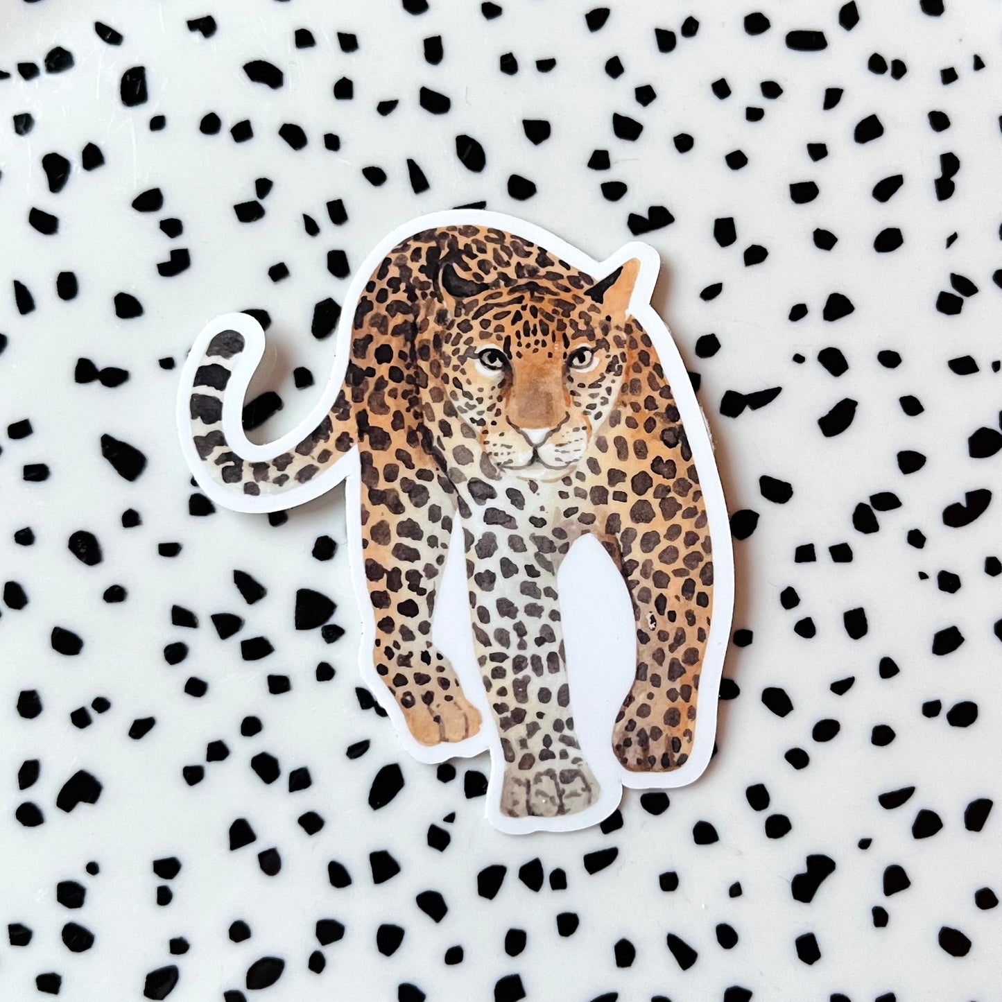 Cheetah bruin ★ sticker